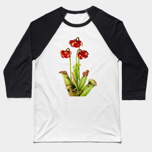 Purple Pitcherplant - Sarracenia Purpurea- Walcott - Botanical Illustration Baseball T-Shirt